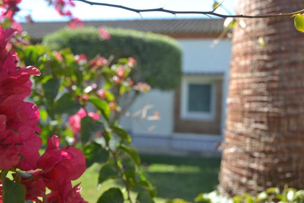 Casa Luz Del Faro Bed & Breakfast Mijas Costa Kültér fotó